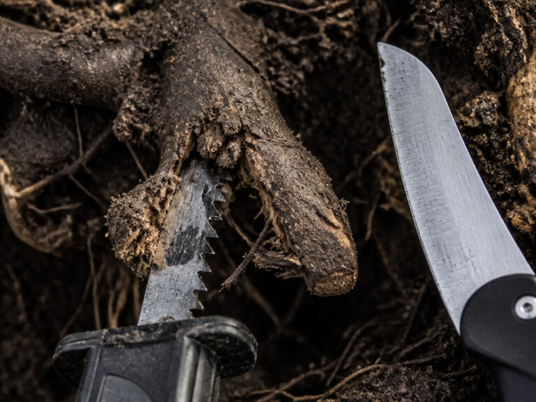 How to Cut Tree Roots With a Reciprocating Saw